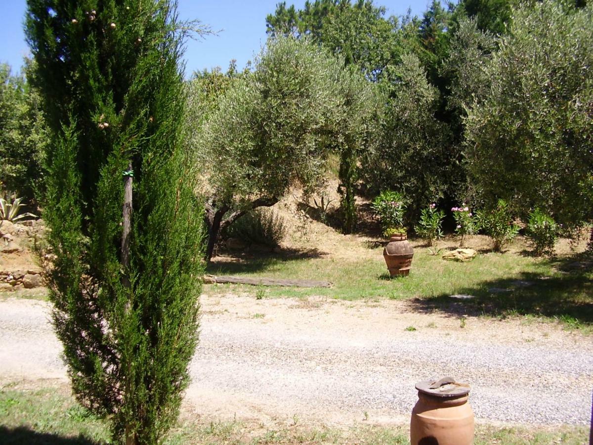 Podere Belvedere Cecina Cecina  Eksteriør billede